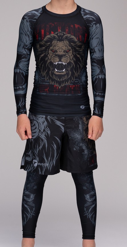 Комплект для MMA 3в1 Rusco Sport ЛЕВ/LION, детский - изображение 1